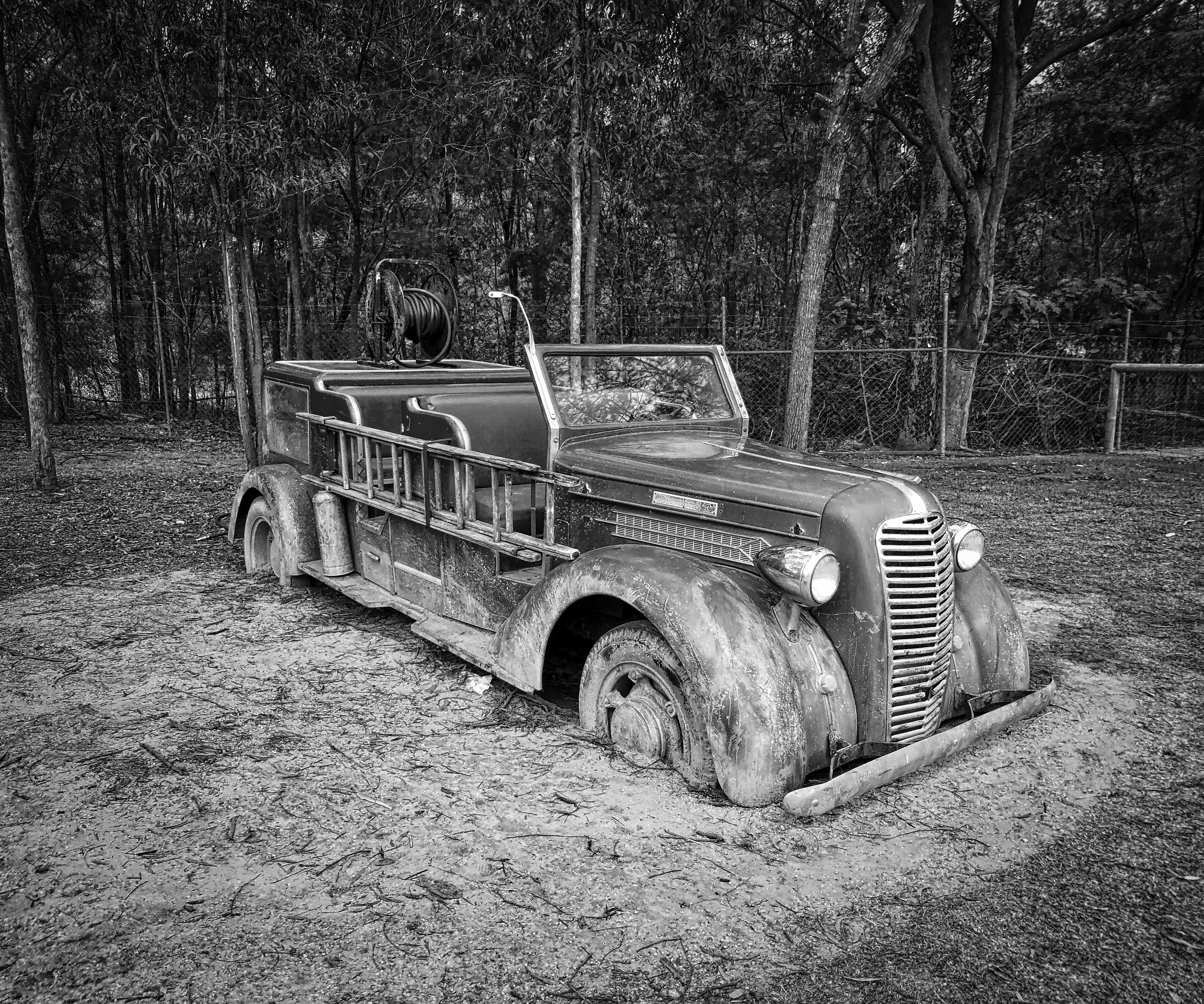 11142017pexelsTHKoeln KWR, Kölner Wissenschaftsrunde, Meldung, Köln Neuigkeiten, Wissenschaft, Wissenswertes aus Köln, pexels
