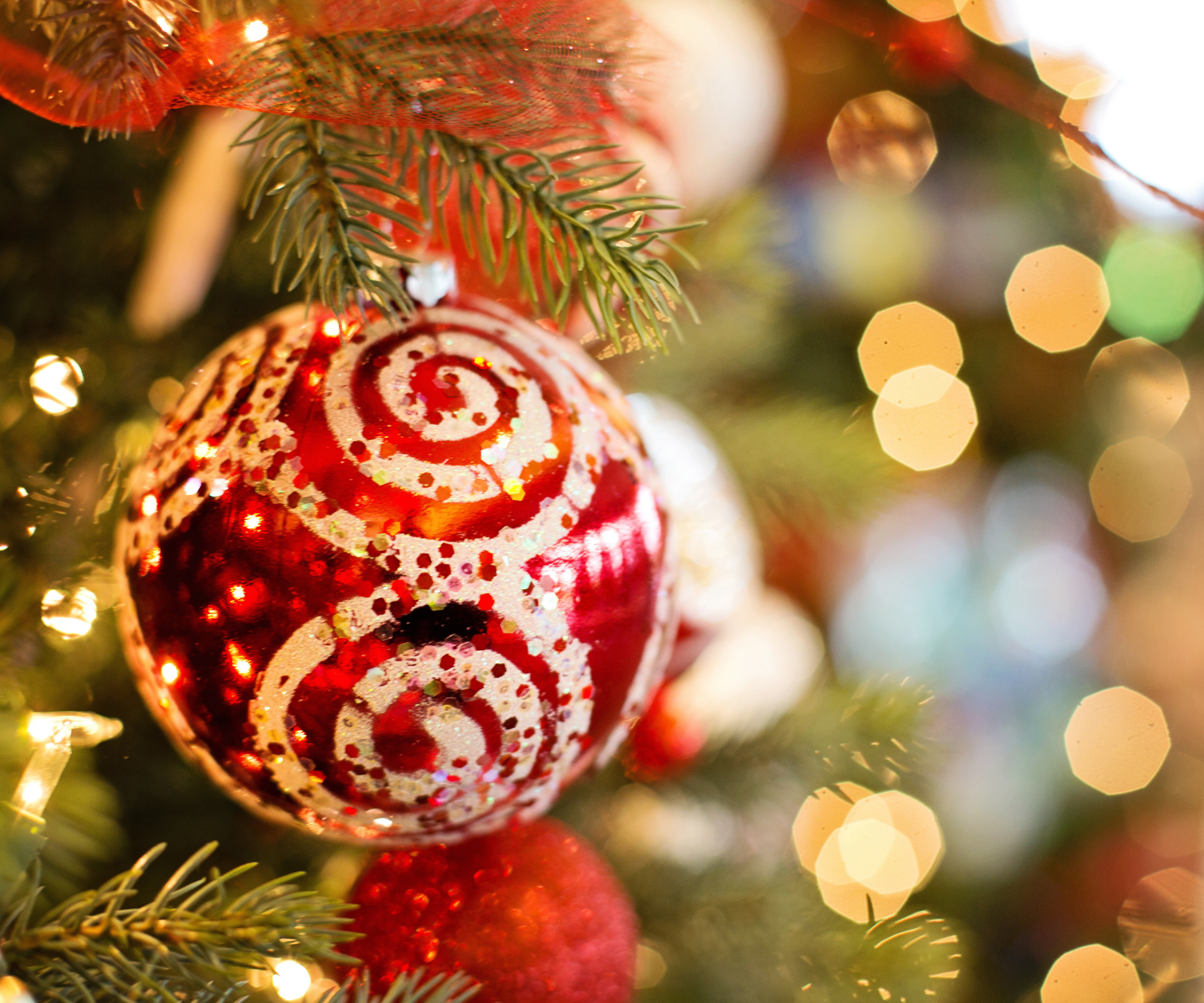 11202017pexelsHfMT KWR, Kölner Wissenschaftsrunde, Meldung, Köln Neuigkeiten, Wissenschaft, Wissenswertes aus Köln