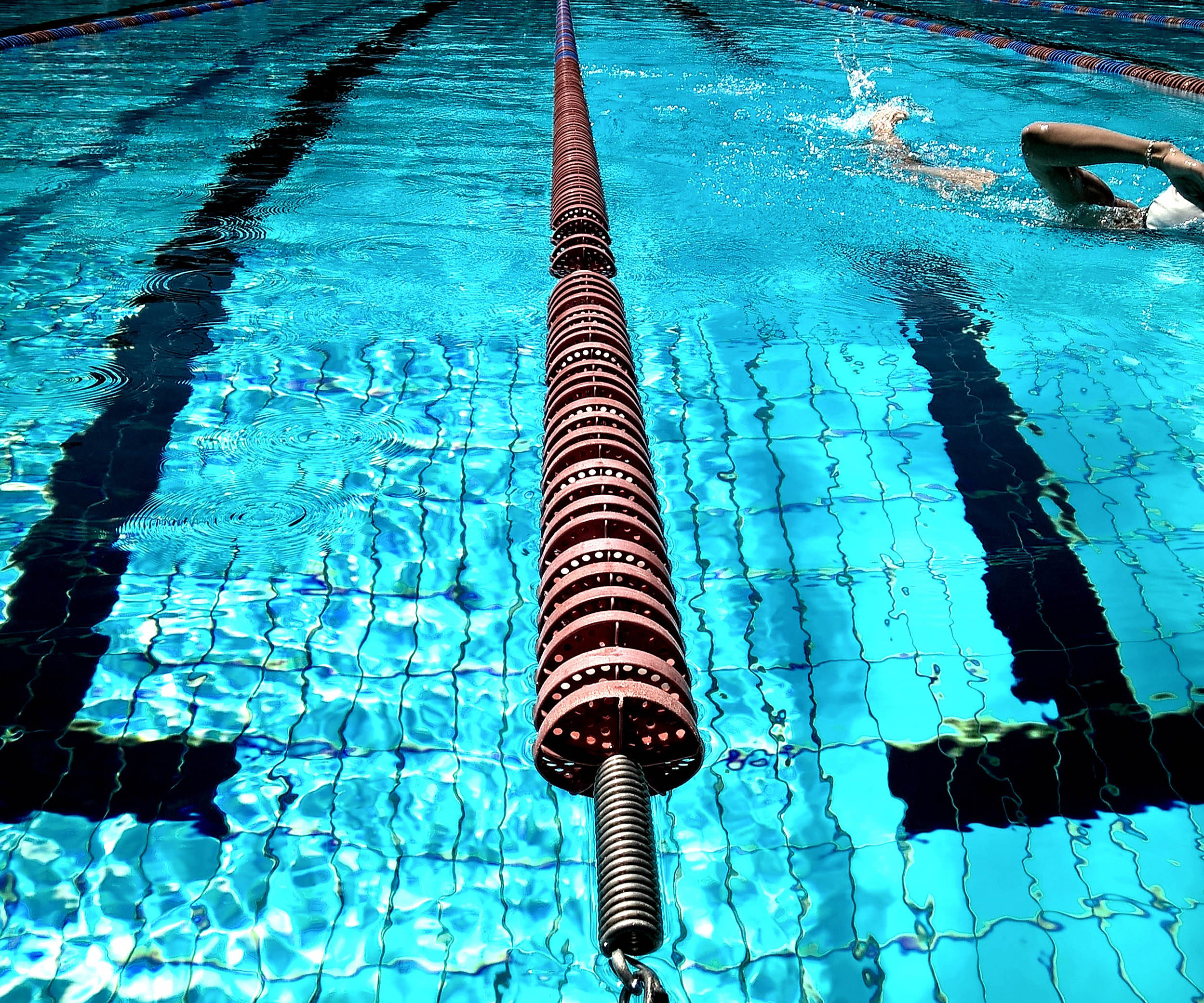 230318pexels-photo-DSHS261185 KWR, Kölner Wissenschaftsrunde, Meldungen aus Köln, Wissenschaft