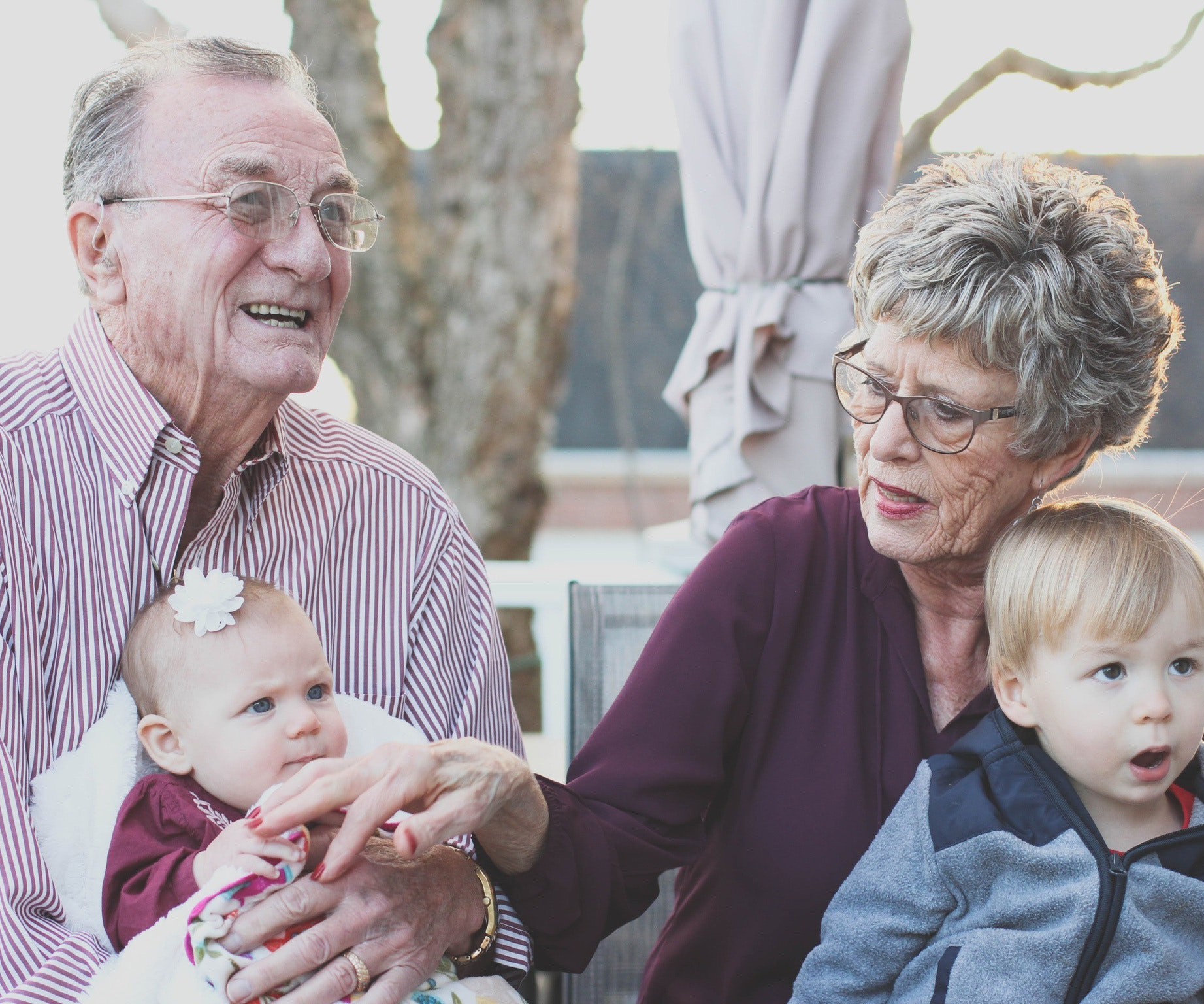 240418_pexels_MPI3 KWR, Kölner Wissenschaftsrunde, Meldungen aus Köln, Wissenschaft