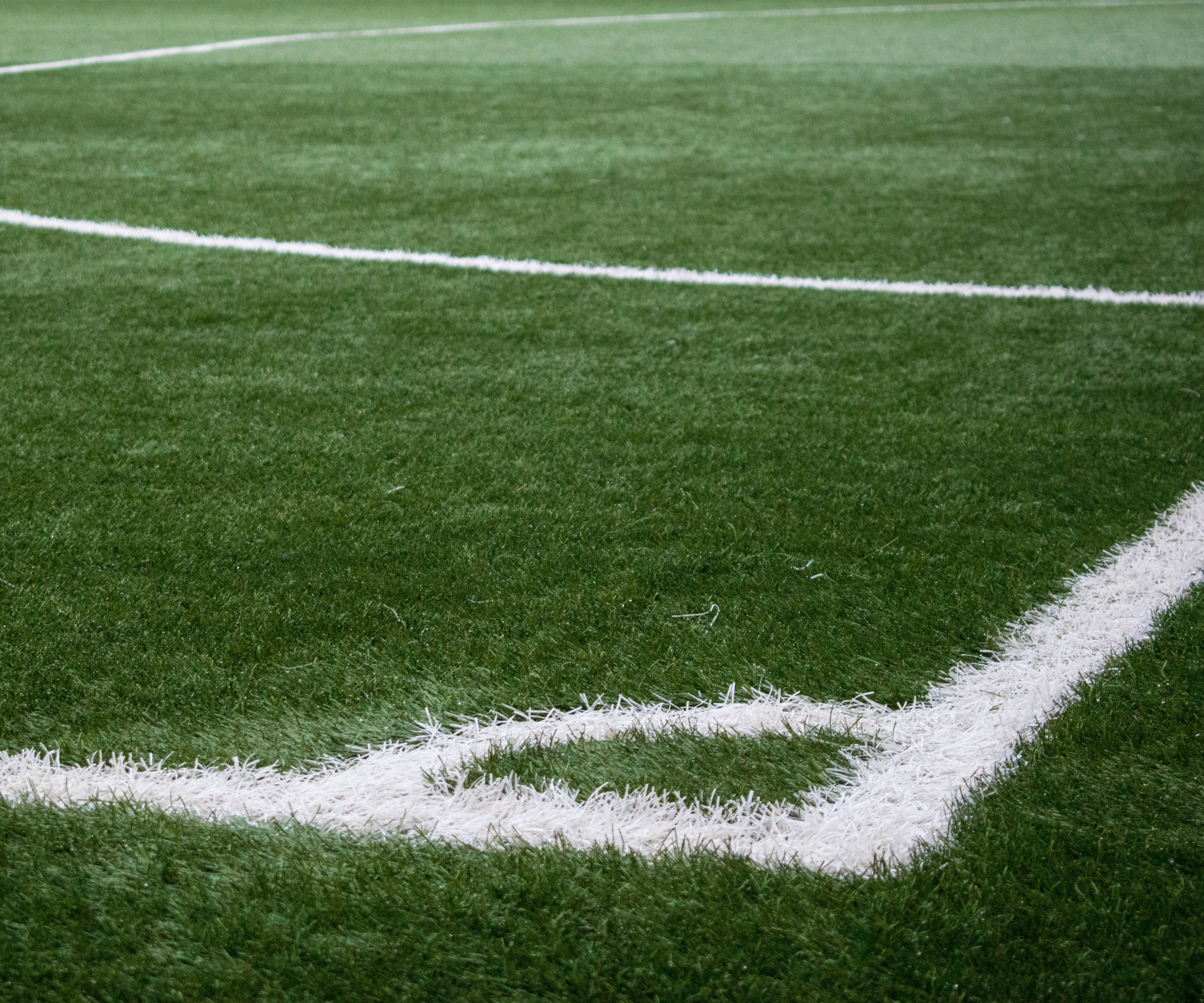 280518_pexels_HSMacromedia_draussen KWR, Kölner Wissenschaftsrunde, Termine, Aktivitäten, Wissenschaft