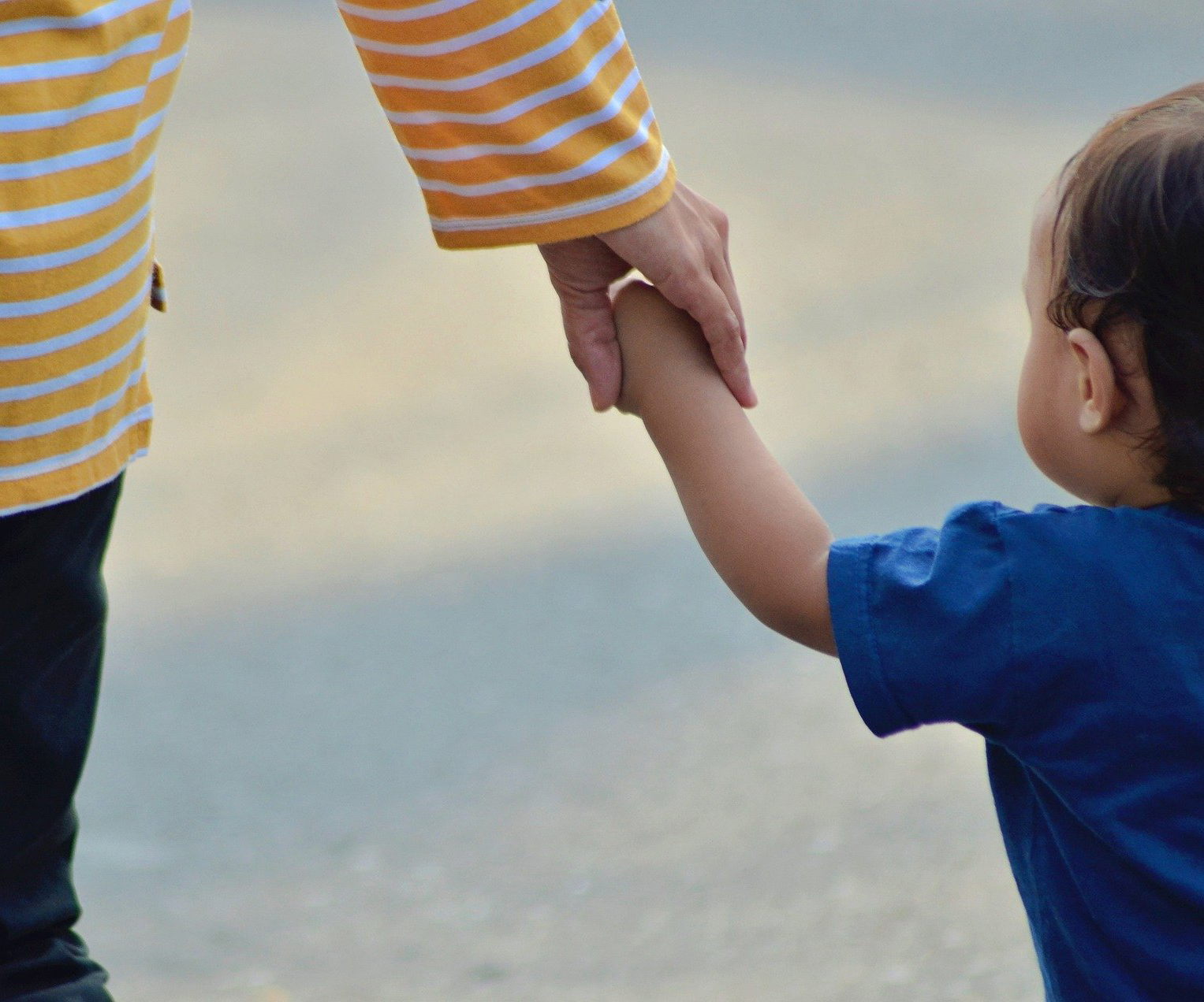 220920_pixabay_endho_adipositas KWR, Kölner Wissenschaftsrunde, Meldungen aus Köln, Wissenschaft