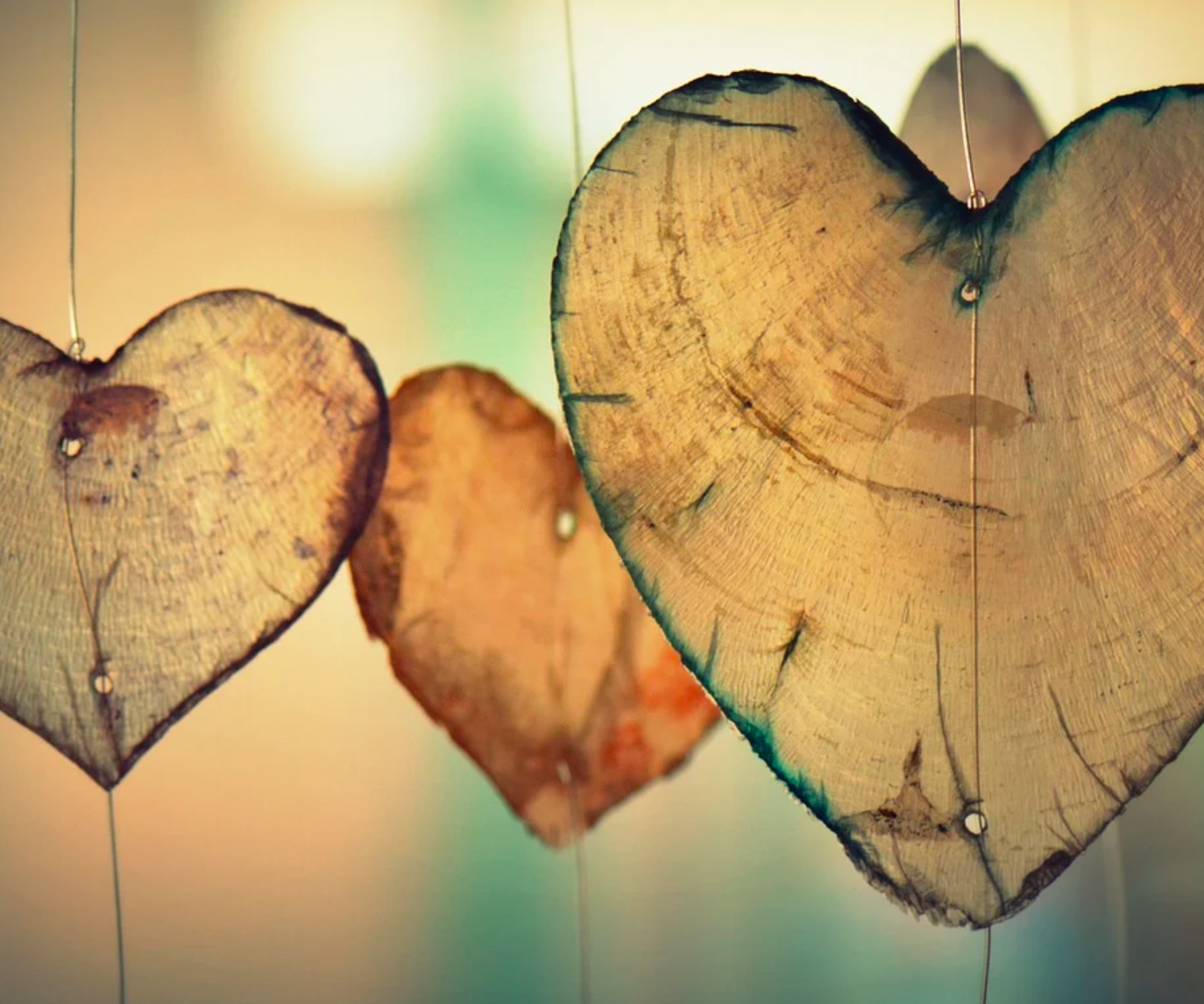 160321_pixabay_Ben_Kerckx