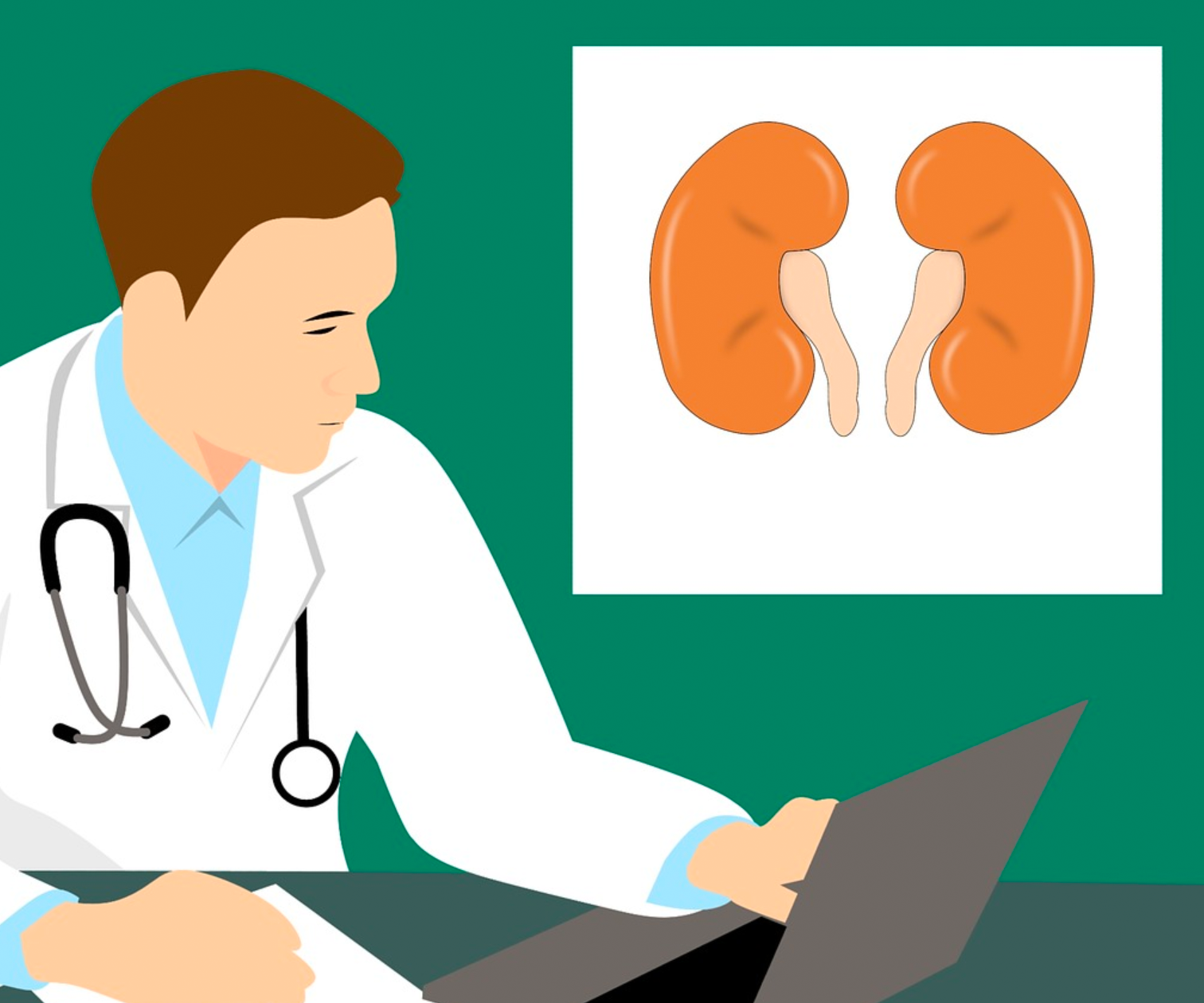 290321_pixabay_mohamed_hassan