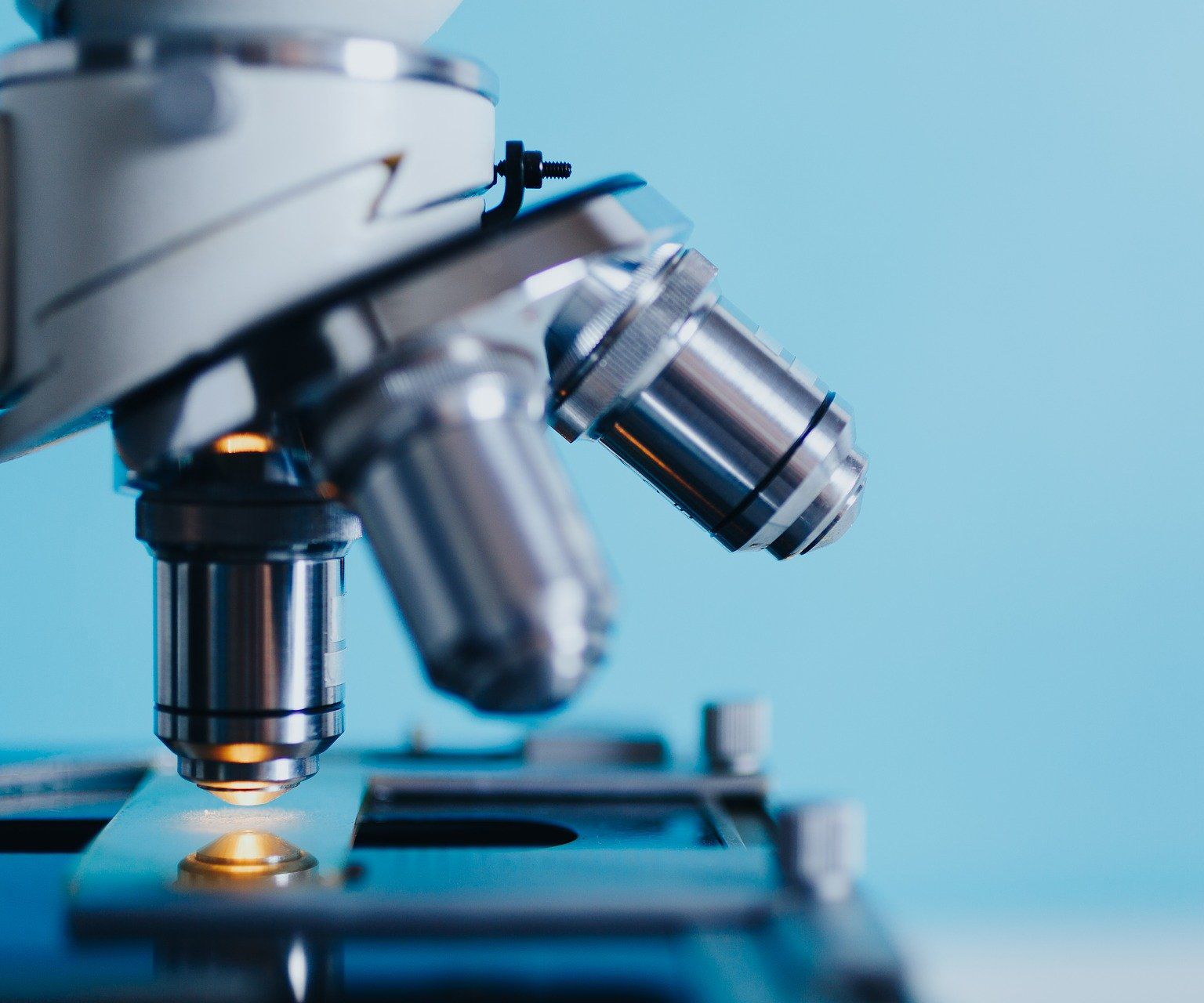 210921_pixabay_kkolosov_MPG_Osteoporose KWR, Kölner Wissenschaftsrunde, Meldungen aus Köln, Wissenschaft