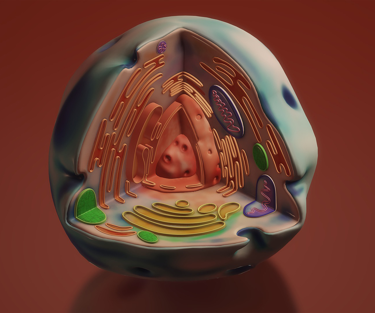 071021_pixabay_SquirrelMonkey_UzK_Mito_Atmungskette KWR, Kölner Wissenschaftsrunde, Meldungen aus Köln, Wissenschaft