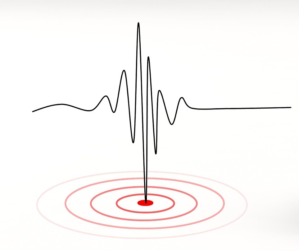 Seismograph Seismograph
