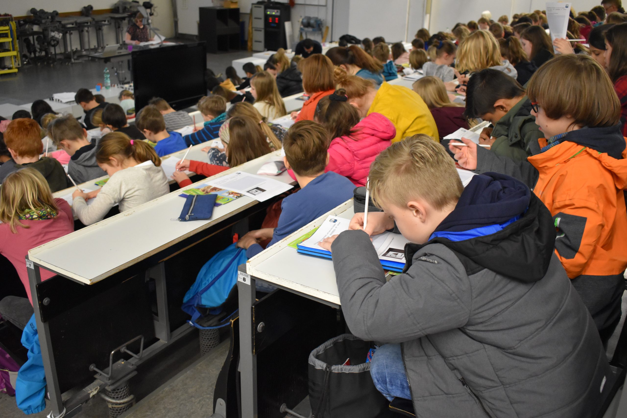 Die phantastische Entwicklung der Wirbelsäule