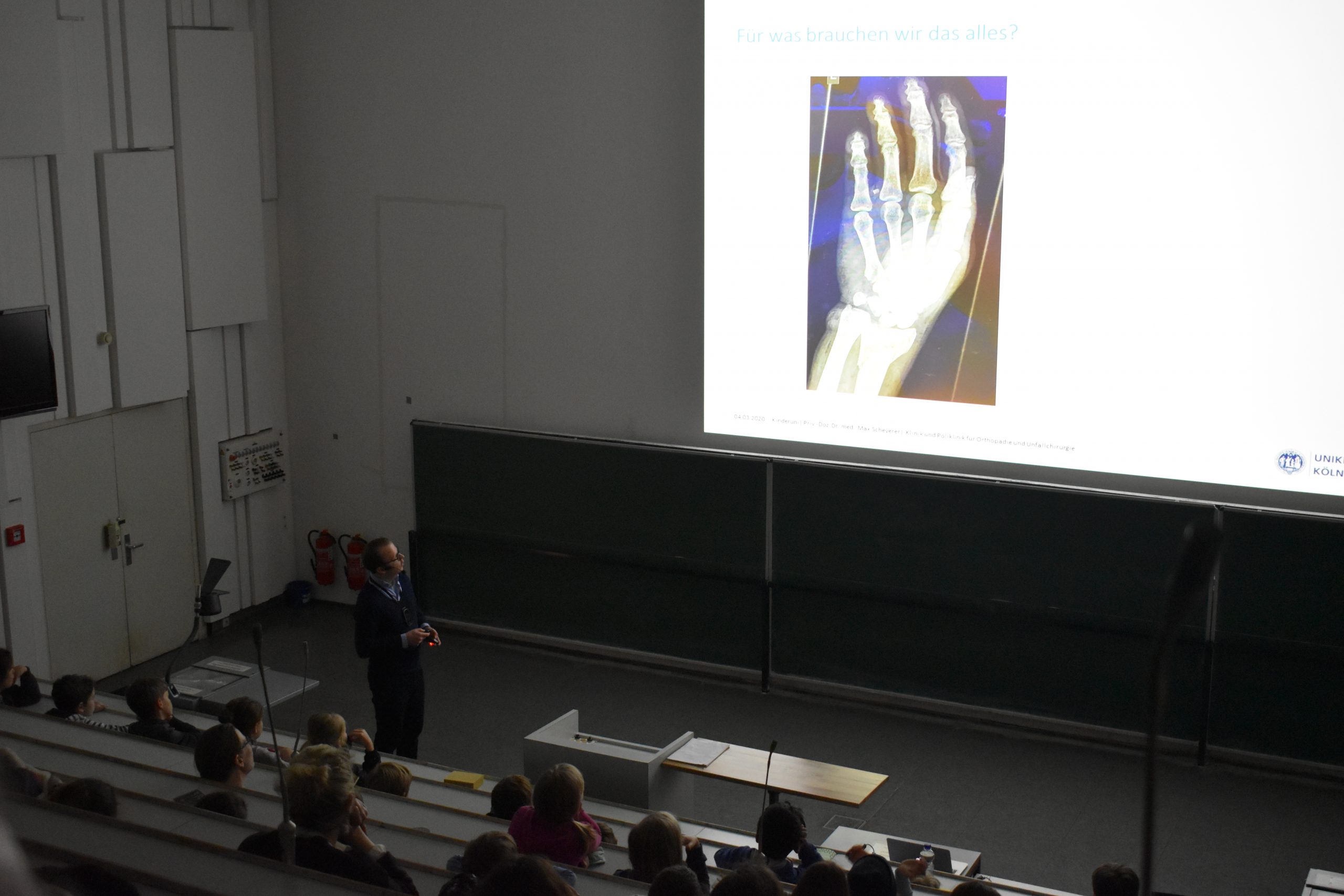 Unser Skelett zum Anfassen