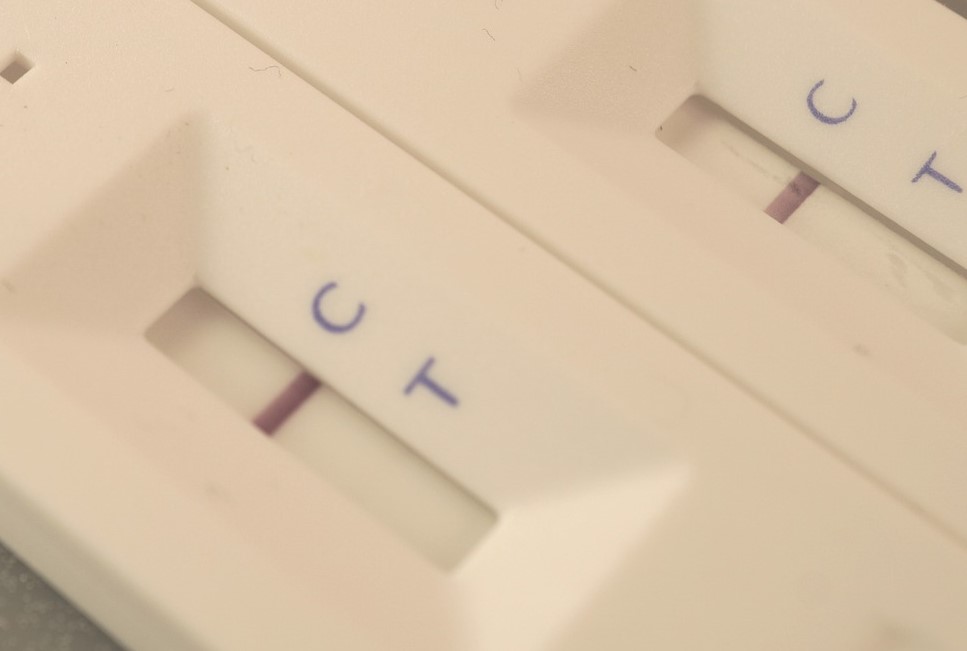 Wie aus Bäumen Corona Schnelltests werden: Workshop zur Membranherstellung