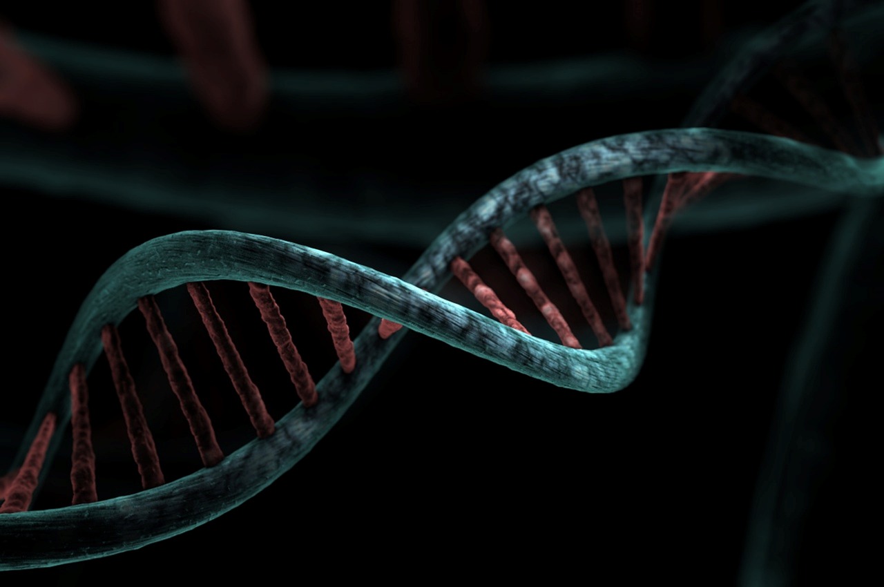 dna-6517210_1280